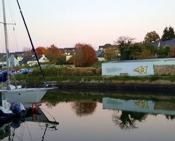 poisson-street-art-graffiti-vannes-rabine_7