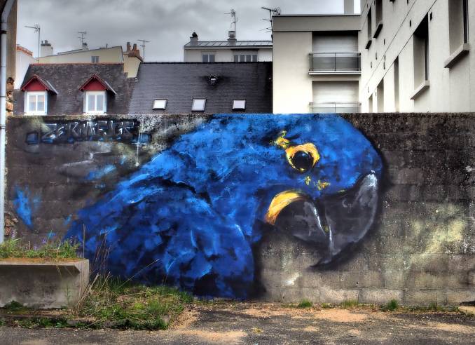 zermi fugs - perroquet - street art avenue - vannes
