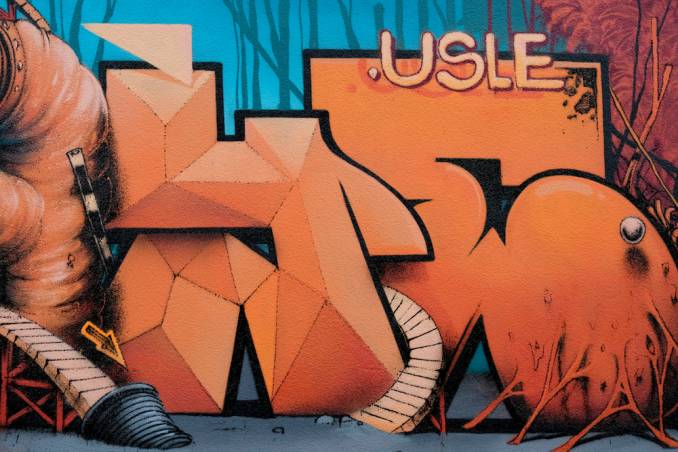 maye - street art - le mur orléans - david templier photographe