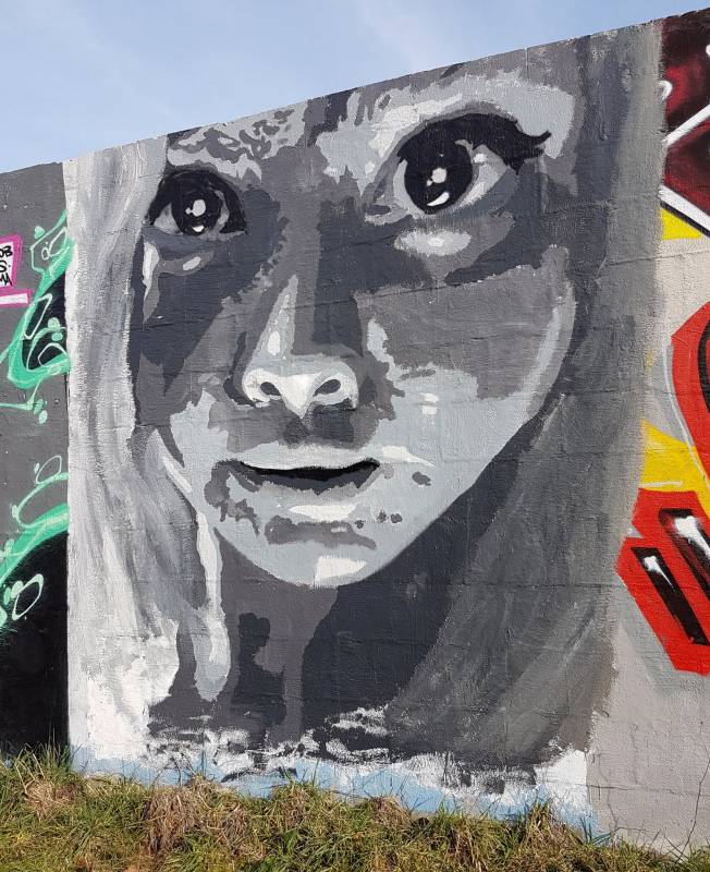 street art - vannes - marie - lycée saint joseph