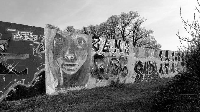 photo fév. 2017 @vidos - street-art-avenue