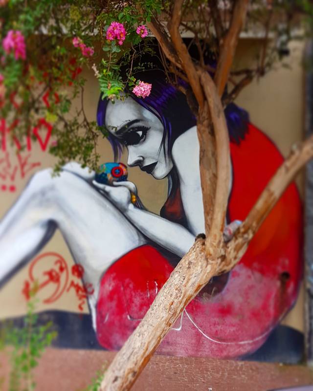 tinho - street ar -vila madalena - sao -paulo