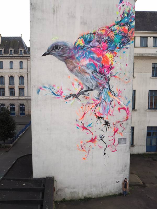 l7m - street art - collège jules simon - oiseau - vannes