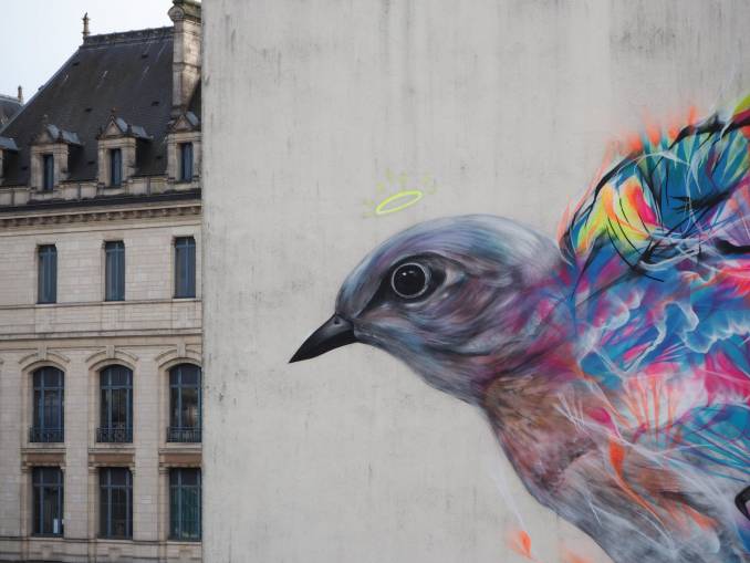 l7m - street art - collège jules simon - oiseau - vannes