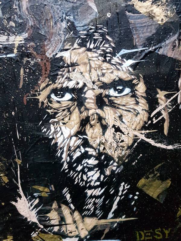 desy - street art - collage - pochoir - vannes