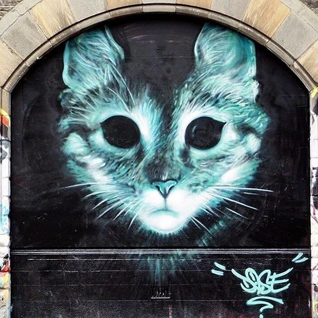 dose - street art - cat - stokes croft - bristol