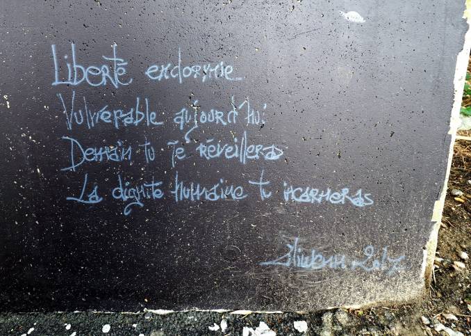 liliwenn - street art - vannes et sa street - liberté endormie