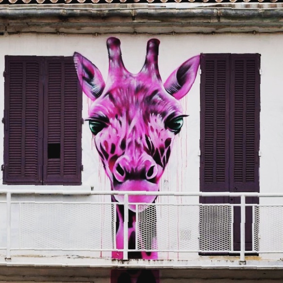Dopie, Seyne-sur-Mer