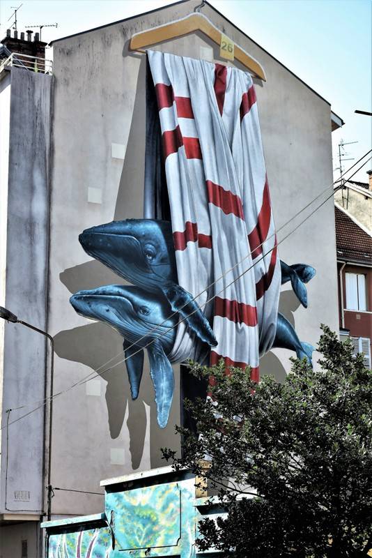 nevercrew - street art - grenoble