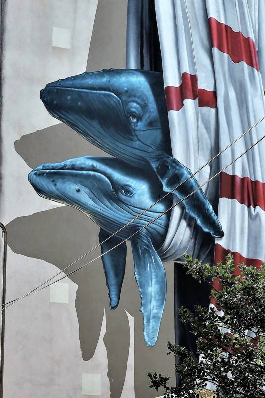 nevercrew - street art - grenoble