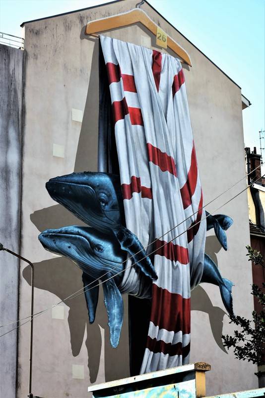 nevercrew - street art - grenoble