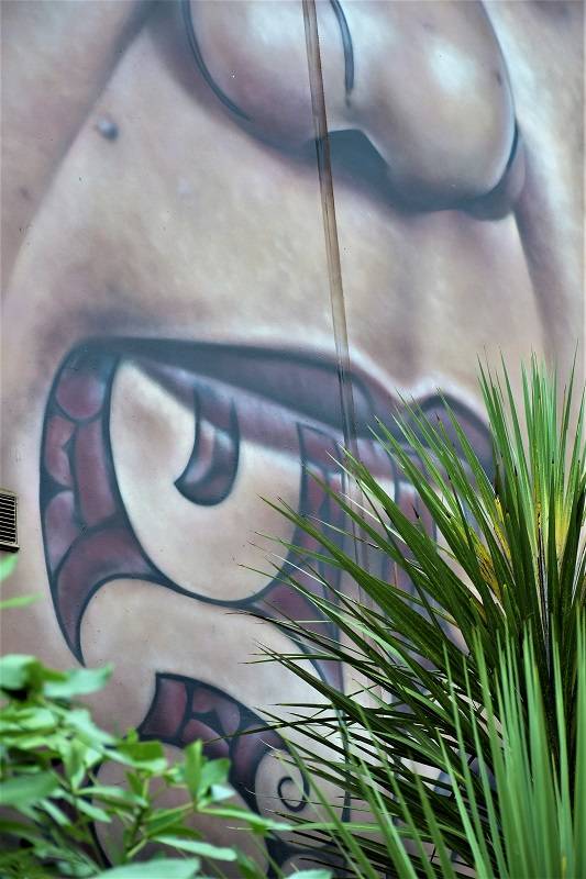 owen dippie - sreet art - auckland