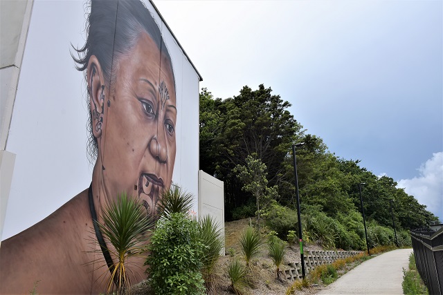owen dippie - sreet art - auckland