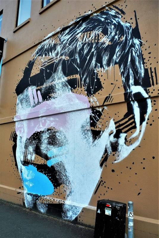 askew one - street art - nelson