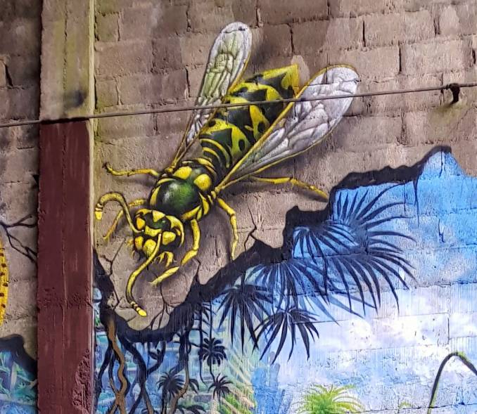 kaz - ezra - street art - graffiti - lorient - morbihan - bretagne