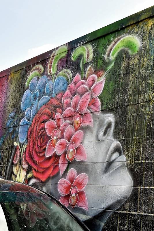 adore - street art - taupo