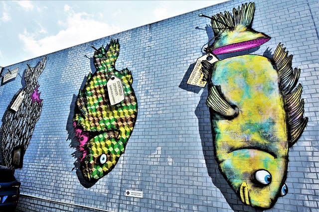 bmd - street art - taupo