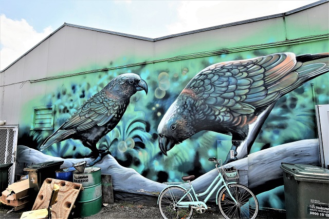 jeremy shirley - street art - taupo