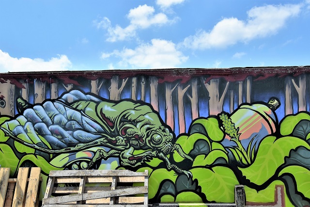 kasik - street art - taupo
